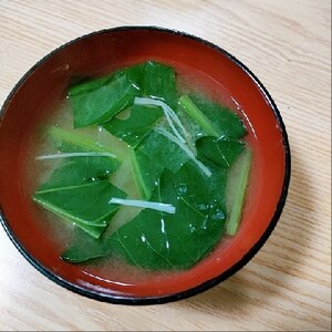 ほうれん草とえのきのお味噌汁